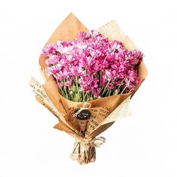 Pembe Papatya Buketi (~40 cm) – Sihirli Buket Eskişehir ürün fotoğrafı