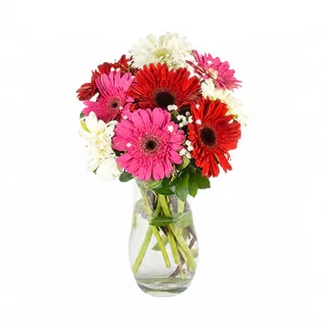 Silindir Cam Vazoda Renkli Gerbera Aranjmanı (~30 cm) – Sihirli Buket Eskişehir ürün fotoğrafı