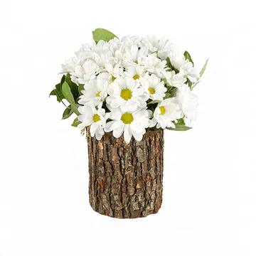 Kütükte Papatyalar (~28 cm) – Sihirli Buket Eskişehir ürün fotoğrafı