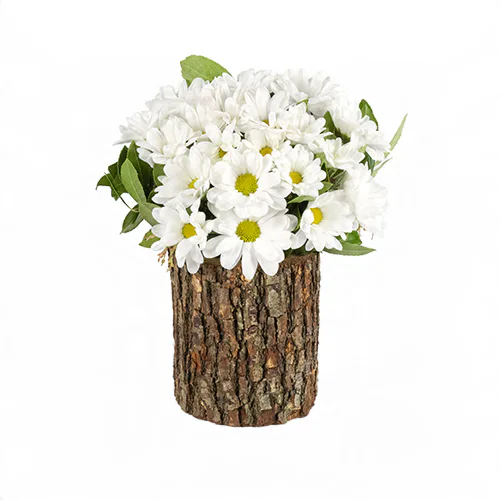 Kütükte Papatyalar (~28 cm) – Sihirli Buket Eskişehir ürün fotoğrafı