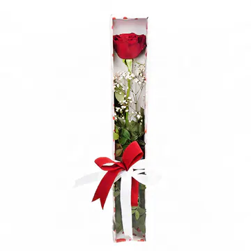 Kutuda Kırmızı Gül (~48 cm) – Sihirli Buket Eskişehir ürün fotoğrafı