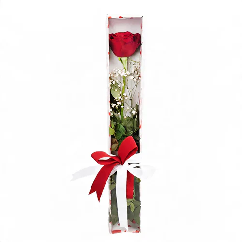 Kutuda Kırmızı Gül (~48 cm) – Sihirli Buket Eskişehir ürün fotoğrafı
