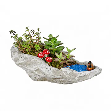 Kayık Beton Saksıda Süslü Açık Teraryum (~8 cm) – Sihirli Buket Eskişehir ürün fotoğrafı