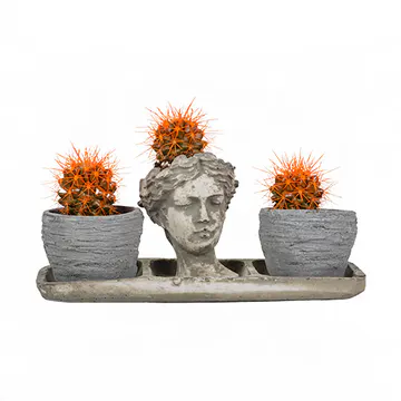 Trio Helen Eskitme Saksıda Turuncu Kaktüsler (~15 cm) – Sihirli Buket Eskişehir ürün fotoğrafı