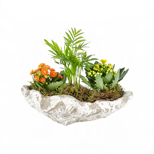 Dekoratif Saksıda Chamadore ve Kalanşo (~22 cm) – Sihirli Buket Eskişehir ürün fotoğrafı