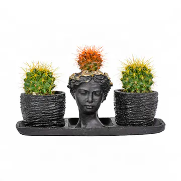 Siyah Trio Helen Saksıda Renkli Kaktüsler (~15 cm) – Sihirli Buket Eskişehir ürün fotoğrafı