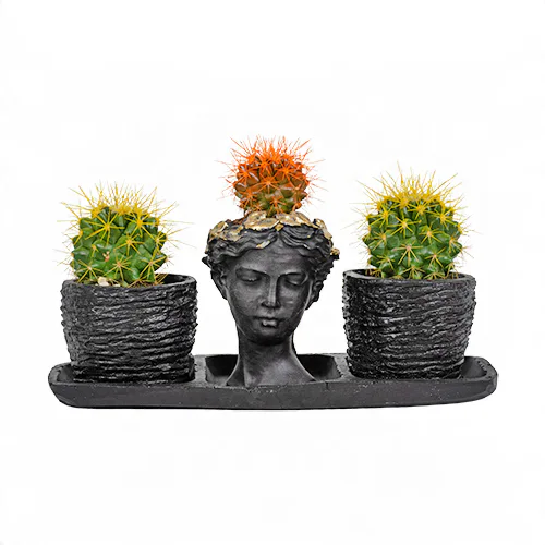 Siyah Trio Helen Saksıda Renkli Kaktüsler (~15 cm) – Sihirli Buket Eskişehir ürün fotoğrafı