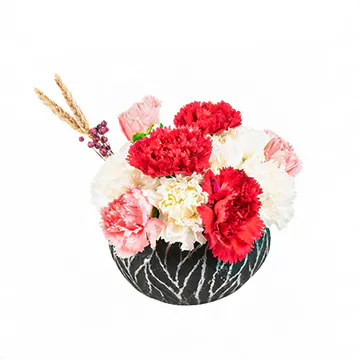 Desenli Saksıda Renkli Karanfiller (~22 cm) – Sihirli Buket Eskişehir ürün fotoğrafı