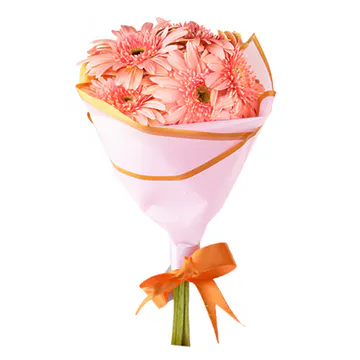 Pembe Gerbera Buketi (~40 cm) – Sihirli Buket Eskişehir ürün fotoğrafı
